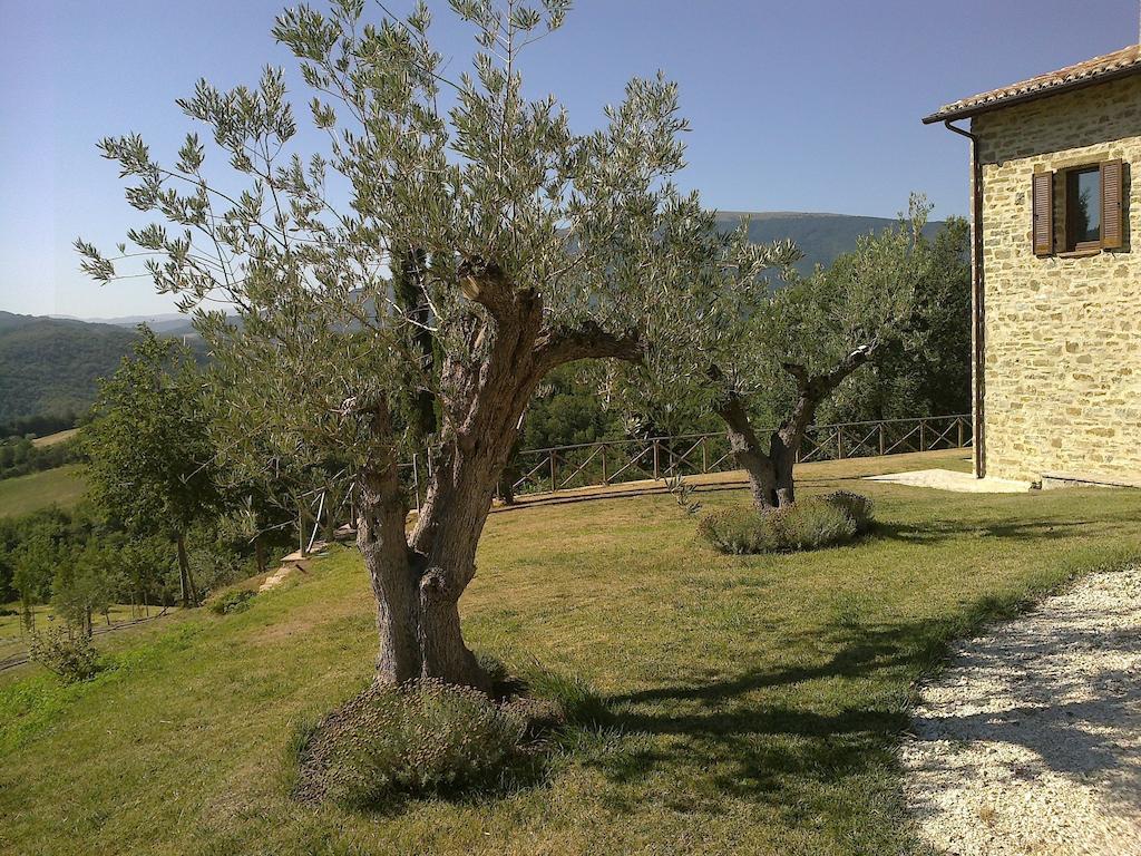 Agriturismo Paradiso 44 Ασίζη Εξωτερικό φωτογραφία