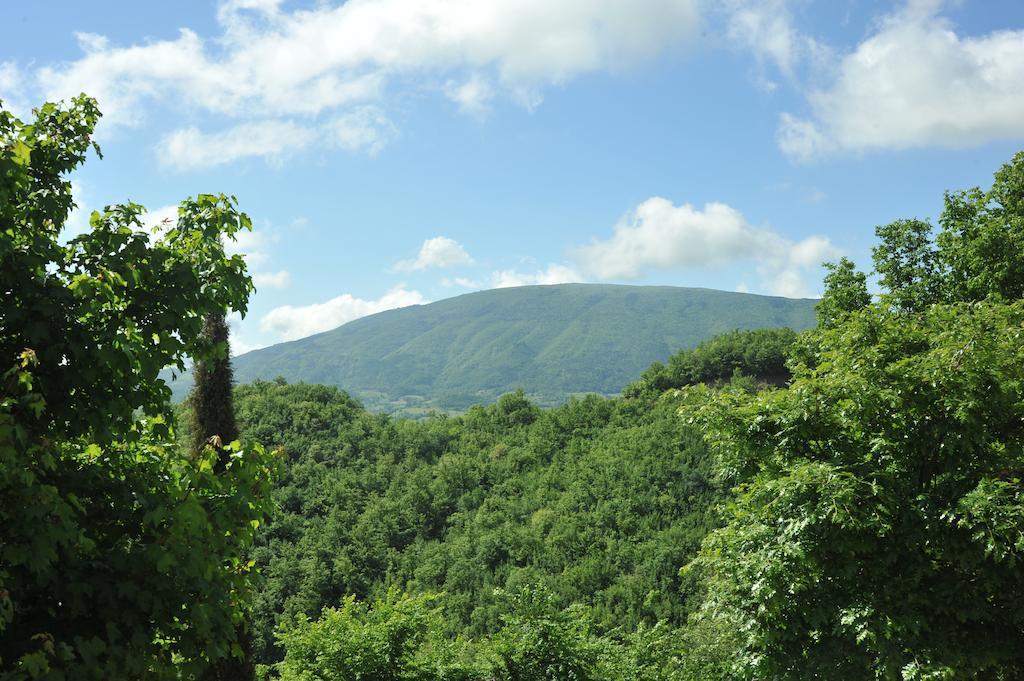 Agriturismo Paradiso 44 Ασίζη Εξωτερικό φωτογραφία