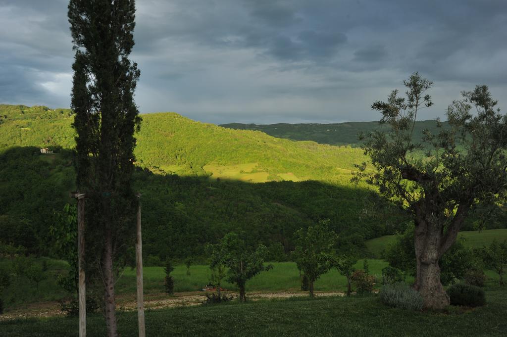 Agriturismo Paradiso 44 Ασίζη Εξωτερικό φωτογραφία