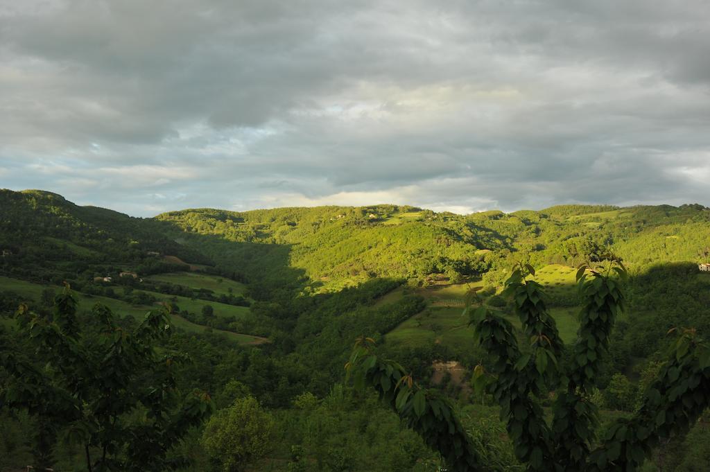 Agriturismo Paradiso 44 Ασίζη Εξωτερικό φωτογραφία