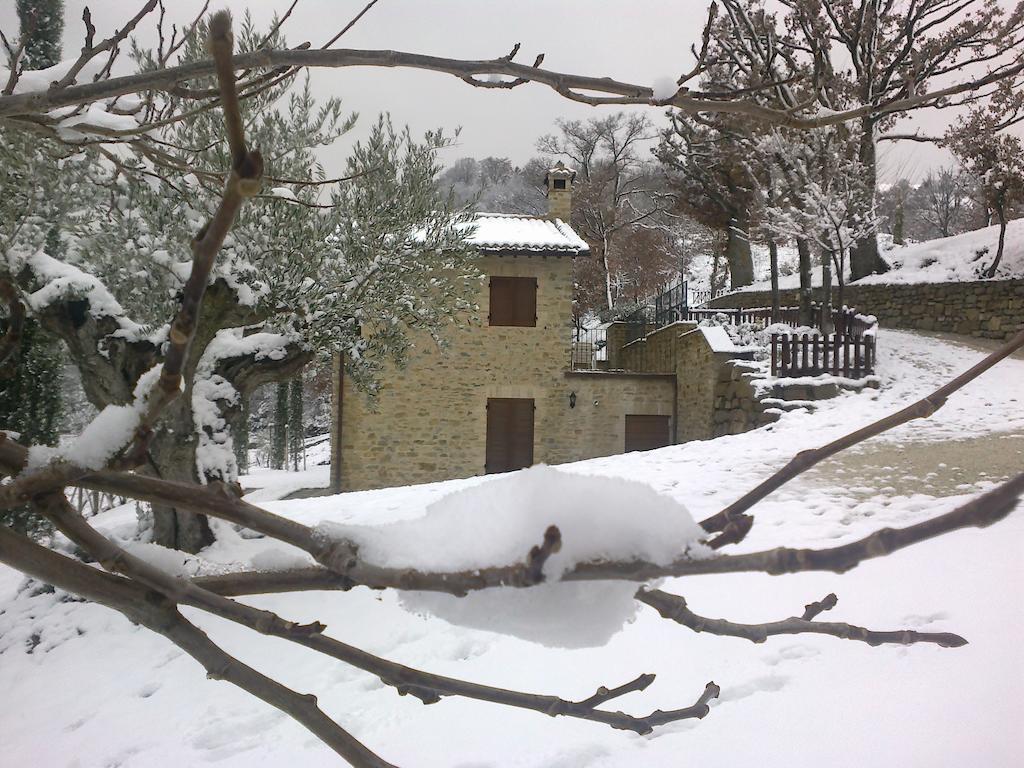 Agriturismo Paradiso 44 Ασίζη Εξωτερικό φωτογραφία