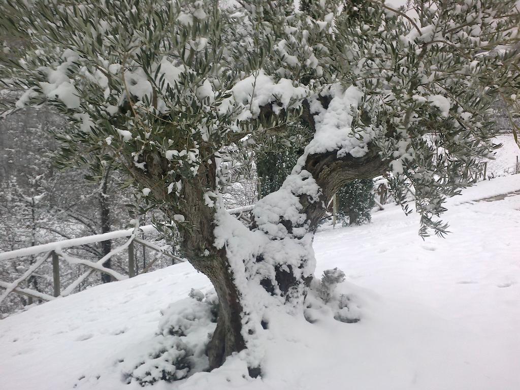 Agriturismo Paradiso 44 Ασίζη Εξωτερικό φωτογραφία