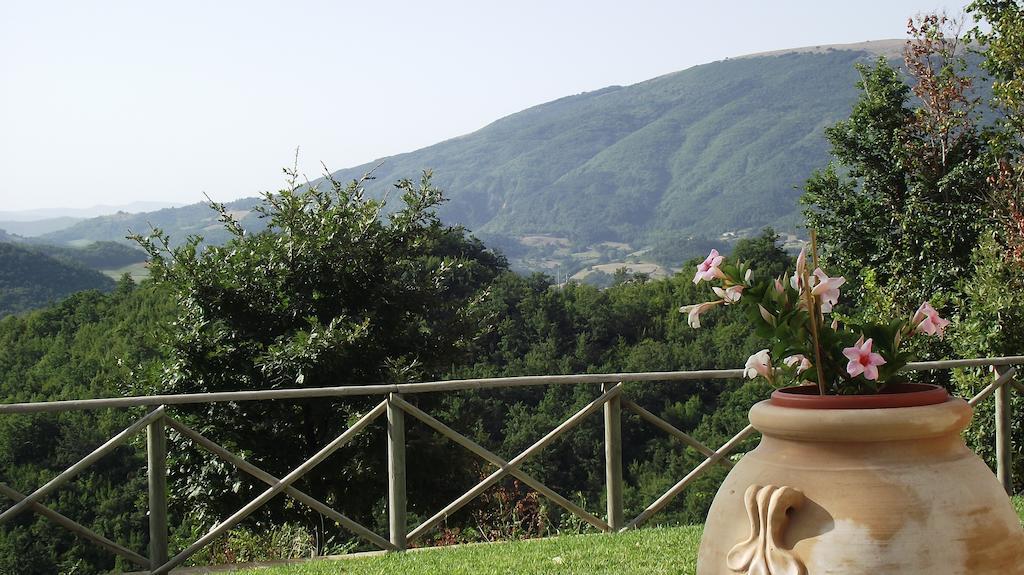 Agriturismo Paradiso 44 Ασίζη Εξωτερικό φωτογραφία