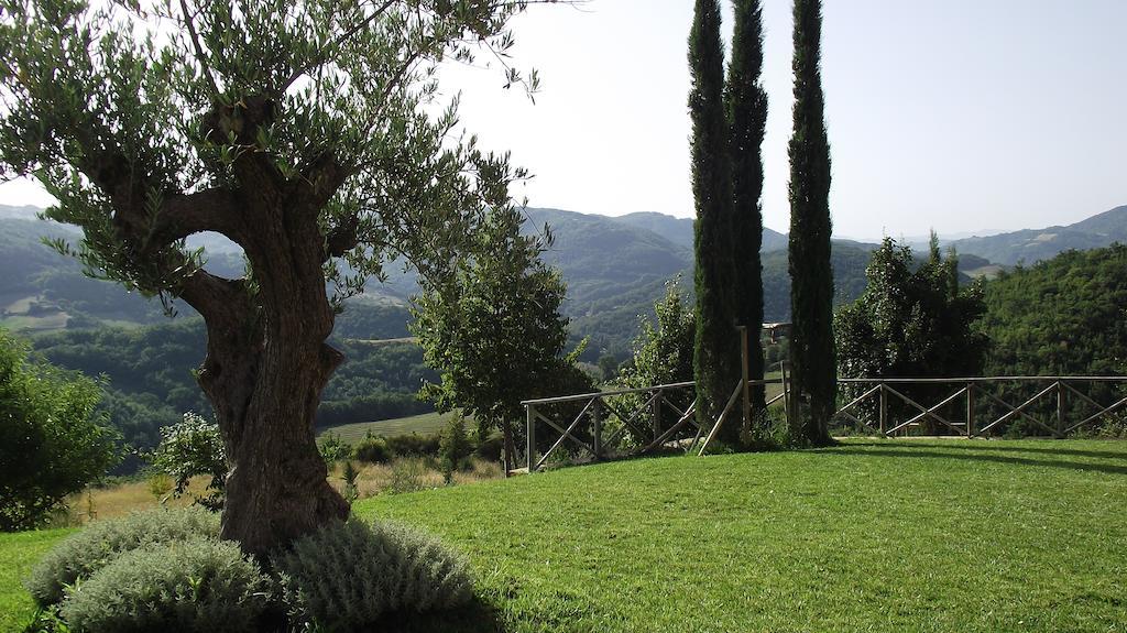 Agriturismo Paradiso 44 Ασίζη Εξωτερικό φωτογραφία