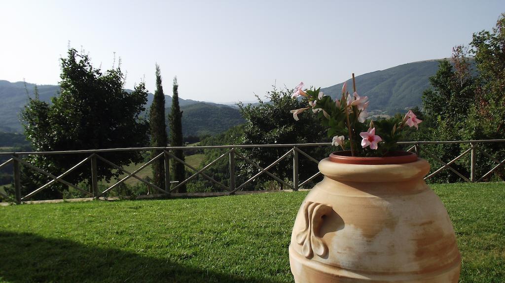 Agriturismo Paradiso 44 Ασίζη Εξωτερικό φωτογραφία
