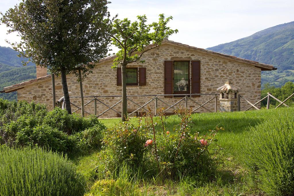 Agriturismo Paradiso 44 Ασίζη Εξωτερικό φωτογραφία