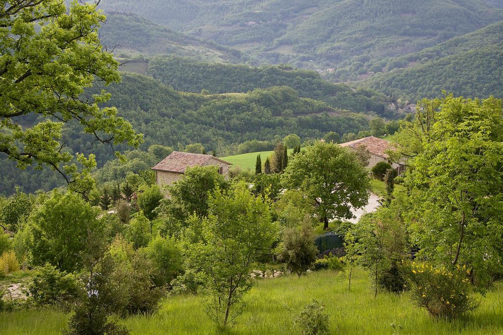 Agriturismo Paradiso 44 Ασίζη Εξωτερικό φωτογραφία