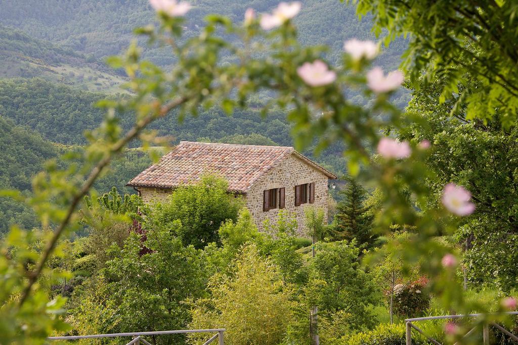 Agriturismo Paradiso 44 Ασίζη Εξωτερικό φωτογραφία