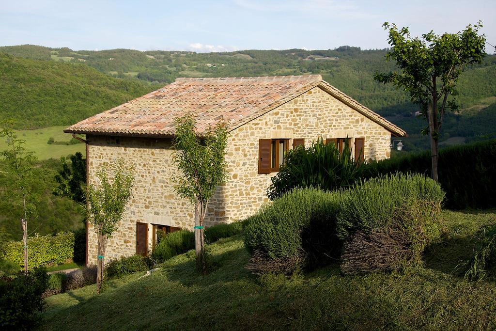 Agriturismo Paradiso 44 Ασίζη Εξωτερικό φωτογραφία